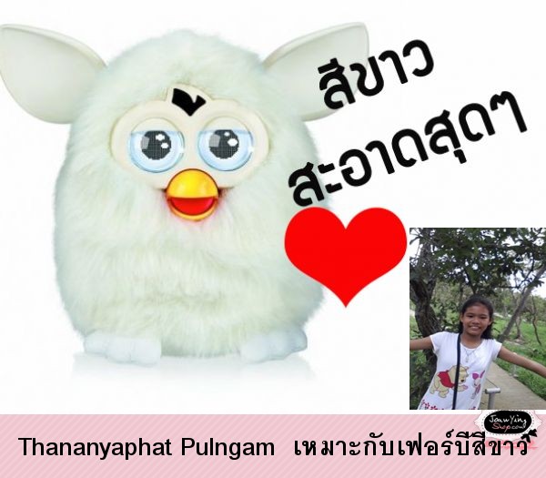  Thananyaphat Pulngam  เหมาะกับเฟอร์บี้สีขาว